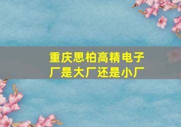 重庆思柏高精电子厂是大厂还是小厂