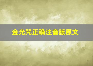 金光咒正确注音版原文