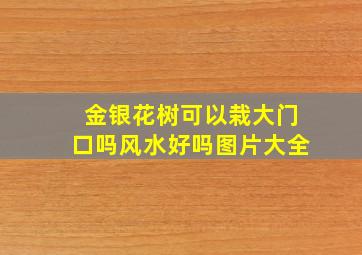 金银花树可以栽大门口吗风水好吗图片大全