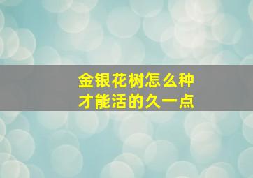 金银花树怎么种才能活的久一点