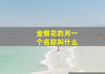 金银花的另一个名称叫什么