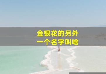 金银花的另外一个名字叫啥