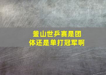 釜山世乒赛是团体还是单打冠军啊