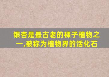 银杏是最古老的裸子植物之一,被称为植物界的活化石