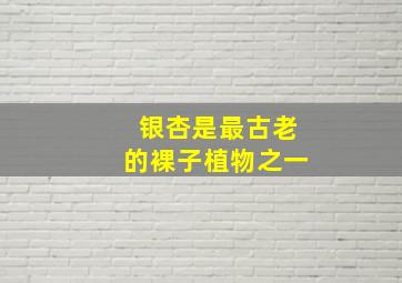 银杏是最古老的裸子植物之一