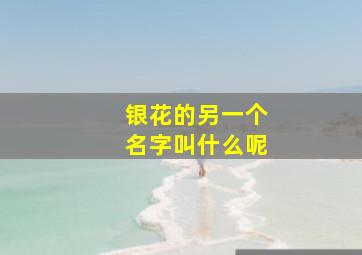 银花的另一个名字叫什么呢