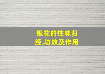 银花的性味归经,功效及作用