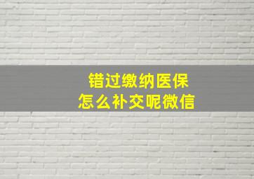 错过缴纳医保怎么补交呢微信