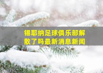 锡耶纳足球俱乐部解散了吗最新消息新闻