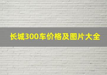 长城300车价格及图片大全