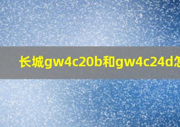 长城gw4c20b和gw4c24d怎么选