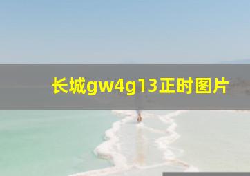 长城gw4g13正时图片