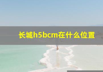 长城h5bcm在什么位置