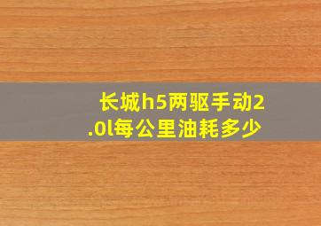 长城h5两驱手动2.0l每公里油耗多少