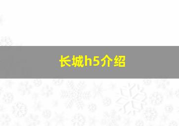 长城h5介绍