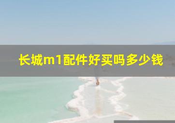 长城m1配件好买吗多少钱