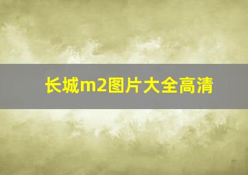 长城m2图片大全高清