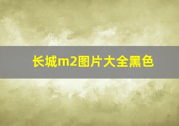 长城m2图片大全黑色