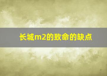 长城m2的致命的缺点