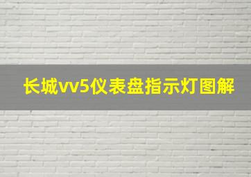 长城vv5仪表盘指示灯图解