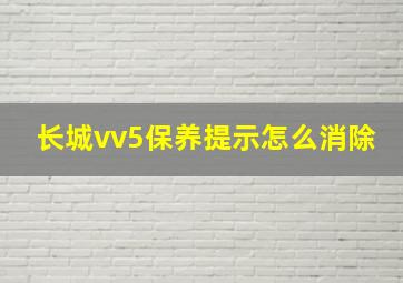 长城vv5保养提示怎么消除