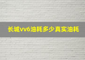 长城vv6油耗多少真实油耗