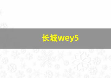 长城wey5