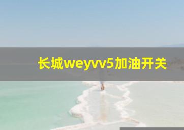 长城weyvv5加油开关