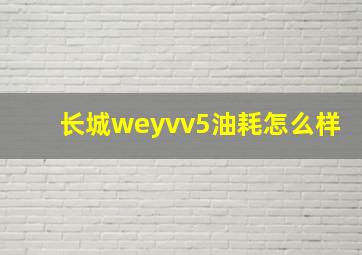 长城weyvv5油耗怎么样