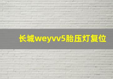 长城weyvv5胎压灯复位