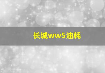 长城ww5油耗