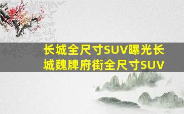 长城全尺寸SUV曝光长城魏牌府街全尺寸SUV