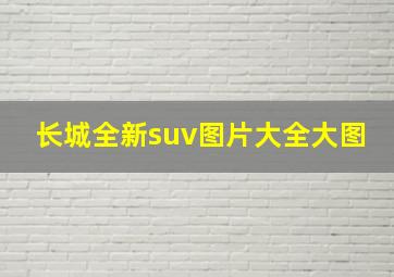 长城全新suv图片大全大图