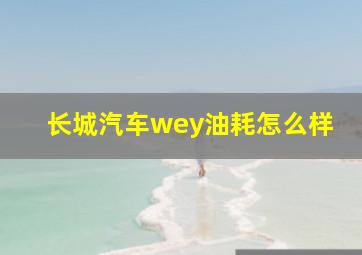 长城汽车wey油耗怎么样