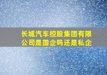 长城汽车控股集团有限公司是国企吗还是私企