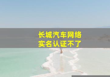 长城汽车网络实名认证不了