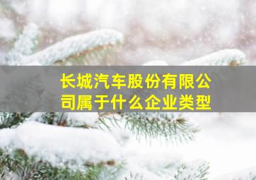 长城汽车股份有限公司属于什么企业类型