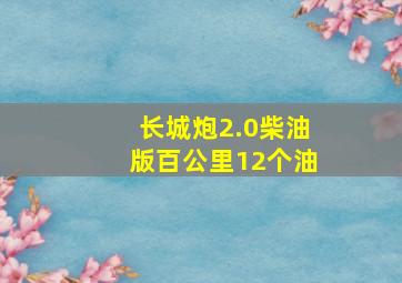 长城炮2.0柴油版百公里12个油