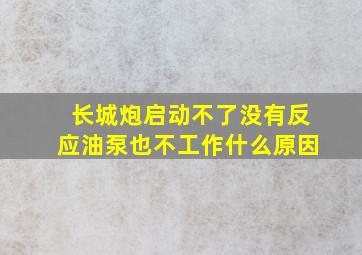 长城炮启动不了没有反应油泵也不工作什么原因