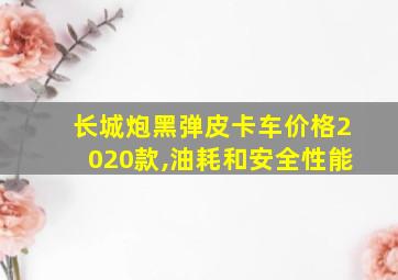 长城炮黑弹皮卡车价格2020款,油耗和安全性能