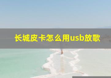 长城皮卡怎么用usb放歌