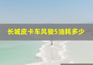 长城皮卡车风骏5油耗多少