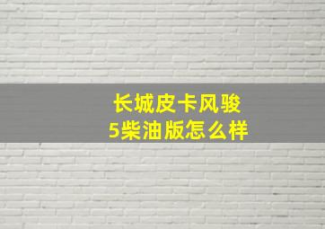 长城皮卡风骏5柴油版怎么样