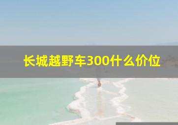 长城越野车300什么价位