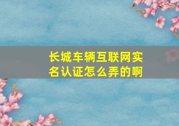 长城车辆互联网实名认证怎么弄的啊