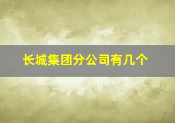 长城集团分公司有几个