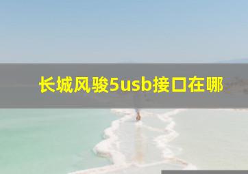 长城风骏5usb接口在哪