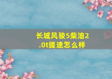 长城风骏5柴油2.0t提速怎么样