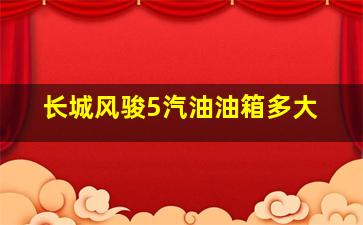 长城风骏5汽油油箱多大