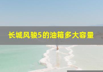 长城风骏5的油箱多大容量